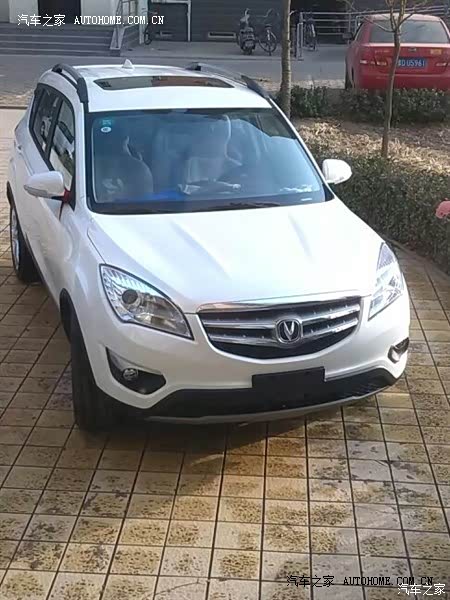 外表靓丽，性情忠实可靠，人生好伴侣