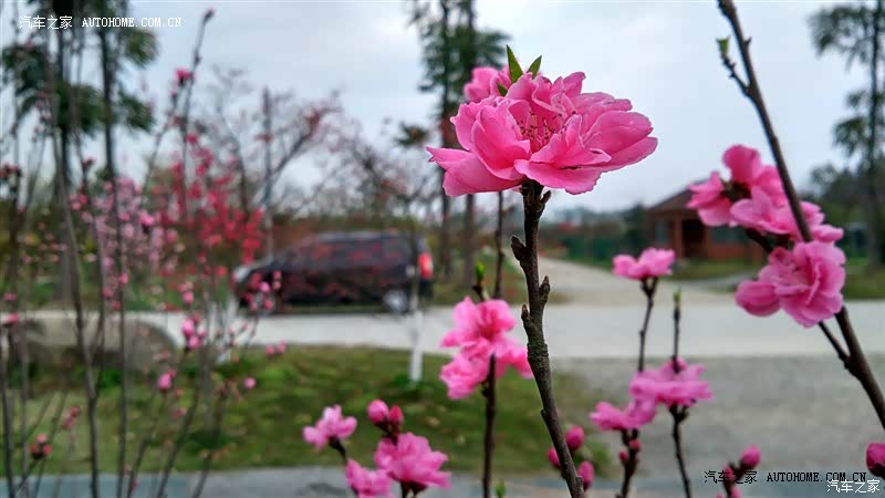 宜商宜家，买80不后悔。