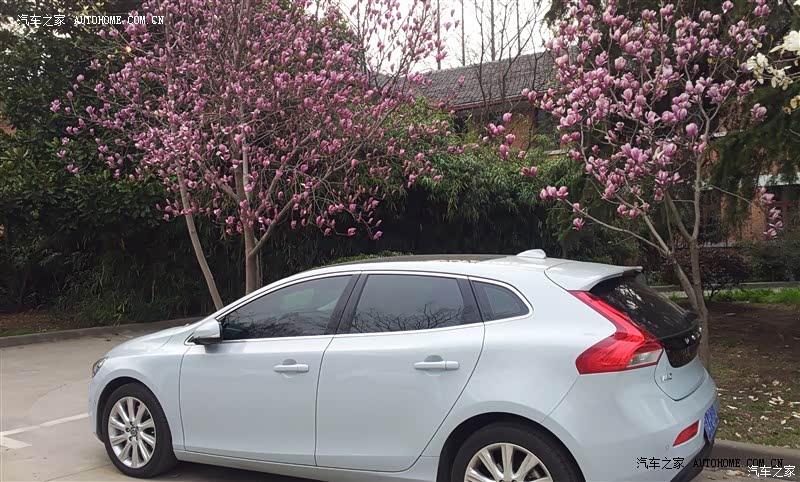 我爱我这颜值高的，动静总相宜的沃小四