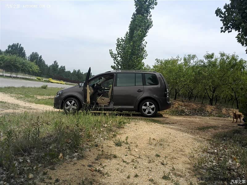 省油，空间大；没劲，底盘低  瑕不掩瑜，是部不错的车