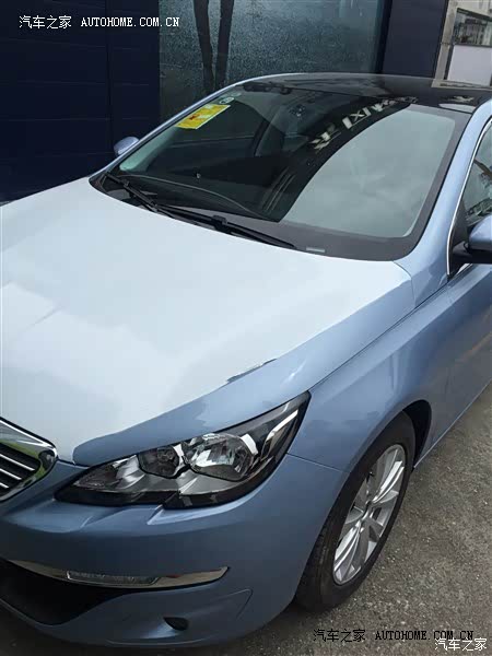 很漂亮的小蓝狮。