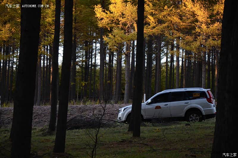 值得信赖的好伙伴~~